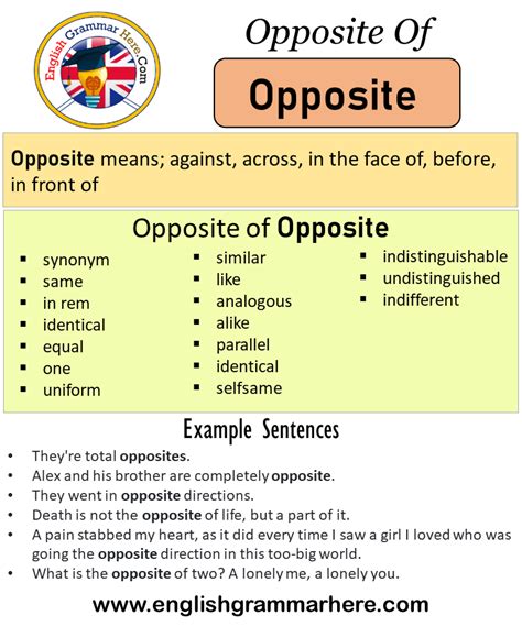 antonyms of do|opposite of do antonym.